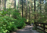 Lynn Canyon Park East Parking Lot