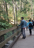 Lynn Canyon Park East Parking Lot