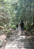 Lynn Canyon Park East Parking Lot