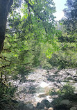 Lynn Canyon Park East Parking Lot