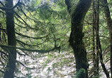 Lynn Canyon Park East Parking Lot