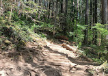 Lynn Canyon Park East Parking Lot