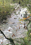 Lynn Canyon Park East Parking Lot