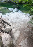 Lynn Canyon Park East Parking Lot