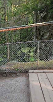 Lynn Canyon Park East Parking Lot