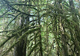 Lynn Canyon Park East Parking Lot