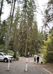 Lynn Canyon Park East Parking Lot