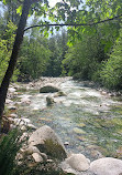 Lynn Canyon Park East Parking Lot