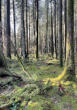 Stationnement est du parc Lynn Canyon