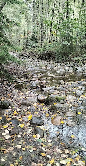 Lynn Canyon Park East Parking Lot