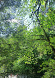 Lynn Canyon Park East Parking Lot