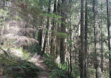 Lynn Canyon Park East Parking Lot