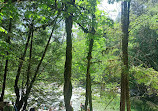 Lynn Canyon Park East Parking Lot