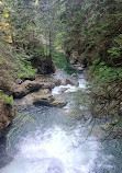 Lynn Canyon Park East Parking Lot