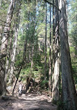 Lynn Canyon Park East Parking Lot