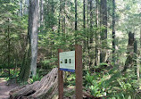 Lynn Canyon Park East Parking Lot