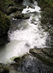 Lynn Canyon Park East Parking Lot