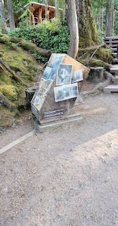 Lynn Canyon Park East Parking Lot