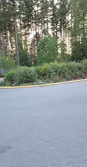 Lynn Canyon Park East Parking Lot