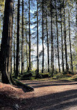 Stationnement est du parc Lynn Canyon