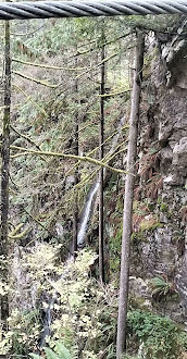 Lynn Canyon Park East Parking Lot