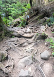 Lynn Canyon Park East Parking Lot