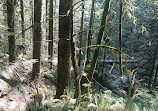 Lynn Canyon Park East Parking Lot