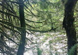 Lynn Canyon Park East Parking Lot