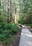 Lynn Canyon Park East Parking Lot