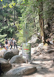 Lynn Canyon Park East Parking Lot