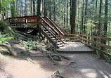 Lynn Canyon Park East Parking Lot