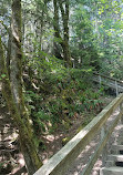 Lynn Canyon Park East Parking Lot