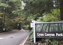 Lynn Canyon Park East Parking Lot