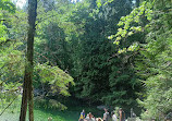 Lynn Canyon Park East Parking Lot