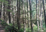 Lynn Canyon Park East Parking Lot