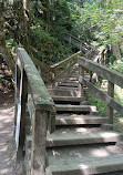 Lynn Canyon Park East Parking Lot