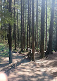 Lynn Canyon Park East Parking Lot