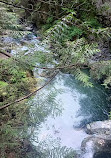 Lynn Canyon Park East Parking Lot