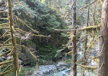 Lynn Canyon Park East Parking Lot