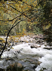 Lynn Canyon Park East Parking Lot