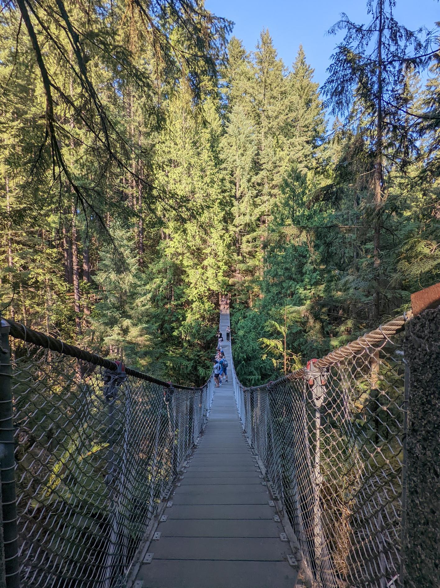 Lynn Canyon Suspension Bridge