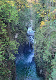 Lynn Canyon Suspension Bridge