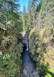 Lynn Canyon Suspension Bridge