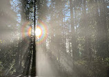 Lynn Canyon Suspension Bridge