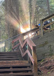 Lynn Canyon Suspension Bridge