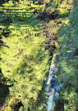 Lynn Canyon Suspension Bridge