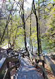 Lynn Canyon Suspension Bridge