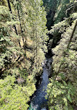 Lynn Canyon Suspension Bridge