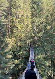 Lynn Canyon Suspension Bridge