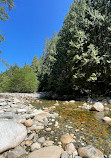 Lynn Canyon Suspension Bridge